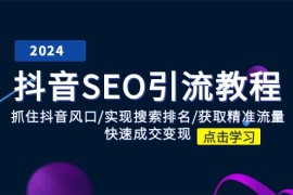 简单项目（11352期）抖音 SEO引流教程：抓住抖音风口/实现搜索排名/获取精准流量/快速成交变现，07月01日中创网VIP项目