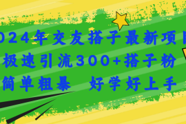 （11259期）2024年交友搭子最新项目，极速引流300+搭子粉，简单粗暴，好学好上手，06月25日中创网VIP项目