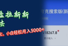 实战（12691期）网盘拉新新玩法：短剧私域玩法，小白轻松月入5000+09-23中创网