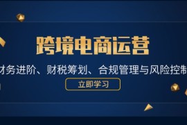 每日（12592期）跨境电商运营：财务进阶、财税筹划、合规管理与风险控制09-14中创网