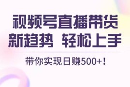 每日（13370期）视频号直播带货新趋势，轻松上手，带你实现日赚500+11-18中创网