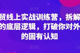 创业项目外贸线上实战训练营，拆解外贸的底层逻辑，打破你对外贸的固有认知便宜07月24日冒泡网VIP项目