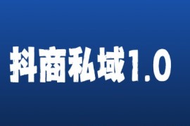 实战抖商服务私域1.0，抖音引流获客详细教学11-22冒泡网