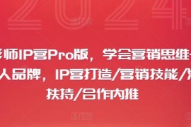 每日摄影师IP营Pro版，学会营销思维+打造个人品牌，IP营打造/营销技能/流量扶持/合作内推便宜08月01日冒泡网VIP项目