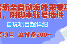 最新项目（12646期）全自动海外采集项目，带脚本账号插件教学，号称单日200+09-19中创网