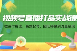 创业项目（12262期）视频号直播打品实战课：微豆付费流，高效起号，团队搭建到流量变现08-22中创网