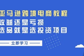 2024最新（11432期）亚马逊跨境电商教程：收益还是亏损！选品就是选投资项目便宜07月05日中创网VIP项目