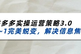 实战（11658期）2024_2025拼多多实操运营策略3.0，0~1完美蜕变，解决信息焦虑（38节）便宜07月17日中创网VIP项目