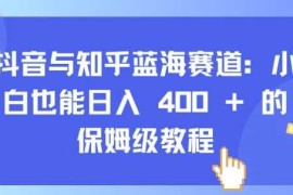 赚钱项目抖音与知乎蓝海赛道：小白也能日入4张的保姆级教程11-21冒泡网