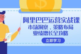 实战（12385期）阿里巴巴运营实战课：市场洞察、策略布局、业绩增长全攻略08-30中创网