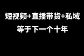 实战短视频+直播带货+私域等于下一个十年，大佬7年实战经验总结12-06冒泡网