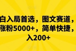 实战小白入局首选，图文赛道，一周涨粉5000+，简单快捷，日入200+便宜08月12日冒泡网VIP项目