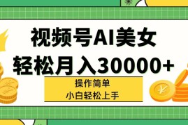 最新项目（11812期）视频号AI美女，轻松月入30000+,操作简单小白也能轻松上手便宜07月26日中创网VIP项目