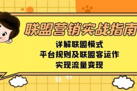 实战（13735期）联盟营销实战指南，详解联盟模式、平台规则及联盟客运作，实现流量变现12-19中创网