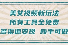 最新项目（13541期）一张图片制作美女跳舞视频，暴力起号，多渠道变现，所有工具全免费，新…12-02中创网