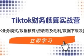 每天（11978期）Tiktok财务核算实战营：TK业务模式/数据核算/应收款及毛利/数据下载及报表便宜08月04日中创网VIP项目