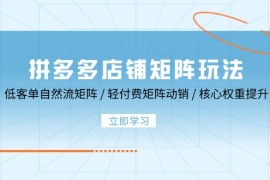 赚钱项目（12720期）拼多多店铺矩阵玩法：低客单自然流矩阵/轻付费矩阵动销/核心权重提升09-25中创网