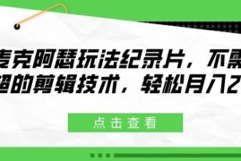 每日麦克阿瑟玩法纪录片，不需高超的剪辑技术，轻松月入2w+【揭秘】便宜07月29日冒泡网VIP项目