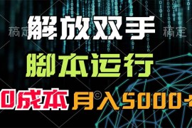 赚钱项目（11721期）解放双手，脚本运行，0成本月入5000+便宜07月21日中创网VIP项目