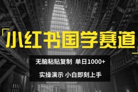 简单项目小红书国学赛道，无脑粘贴复制，单日1K，实操演示，小白即刻上手【揭秘】便宜07月26日冒泡网VIP项目