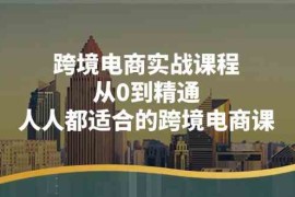 跨境电商实战课程：从0到精通，人人都适合的跨境电商课（14节课），06月24日福缘网VIP项目