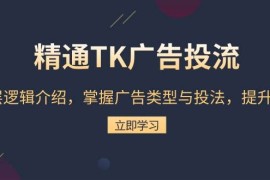 2024最新（13641期）精通TK广告投流：底层逻辑介绍，掌握广告类型与投法，提升效果12-12中创网