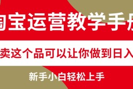 2024最新（12351期）淘宝运营教学手册，在淘宝卖这个品可以让你做到日入2000+，新手小白轻&#8230;08-28中创网