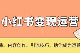 简单项目（13609期）小红书变现运营，IP打造、内容创作、引流技巧，助你成为运营高手12-08中创网