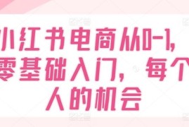 每天小红书电商从0-1，零基础入门，每个人的机会便宜07月10日冒泡网VIP项目