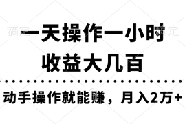 （11263期）一天操作一小时，收益大几百，动手操作就能赚，月入2万+教学，06月25日中创网VIP项目