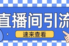 简单项目抖音直播间引流创业粉玩法日引200+精准粉丝【揭秘】11-26冒泡网