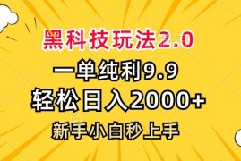 每日（13099期）黑科技玩法2.0，一单9.9，轻松日入2000+，新手小白秒上手中创网