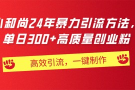 （11247期）AI小和尚24年暴力引流方法，单日300+高质量创业粉，高效引流，一键制作，06月24日中创网VIP项目