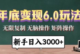 简单项目（13691期）年底变现6.0玩法，一天几分钟，日入3000+，小白无脑操作12-16中创网