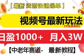 热门项目（13530期）视频号最新玩法中老年赛道月入3W+12-02中创网