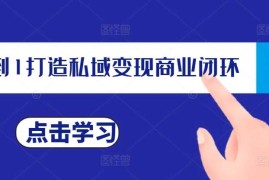 赚钱项目从0到1打造私域变现商业闭环，私域变现操盘手，私域IP打造11-20冒泡网