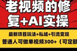 赚钱项目修复老视频的玩法，搬砖+引流的变现(可持久)，单条收益300+【揭秘】便宜07月08日冒泡网VIP项目