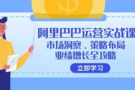 阿里巴巴运营实战课，1688市场洞察、策略布局、业绩增长全攻略联盟抖音号运营