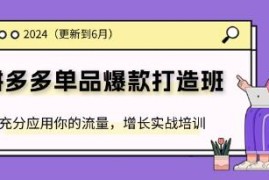 拼多多单品爆款打造班，充分应用你的流量，增长实战培训与抖音号运营