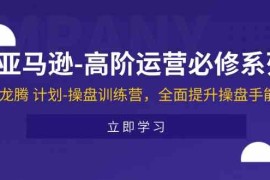 创业项目亚马逊高阶运营必修系列，龙腾计划-操盘训练营，全面提升操盘手能力便宜07月16日福缘网VIP项目