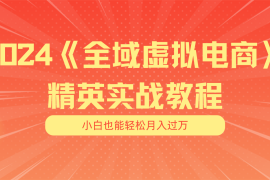 每日（11484期）月入五位数干就完了适合小白的全域虚拟电商项目（无水印教程+交付手册）便宜07月07日中创网VIP项目