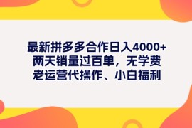 赚钱项目（11410期）最新拼多多项目日入4000+两天销量过百单，无学费、老运营代操作、小白福利，07月03日中创网VIP项目