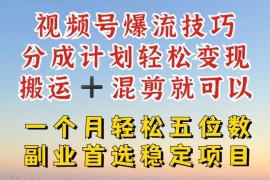 赚钱项目视频号爆流技巧，分成计划轻松变现，搬运+混剪就可以，一个月轻松五位数稳定项目【揭秘】便宜07月17日冒泡网VIP项目