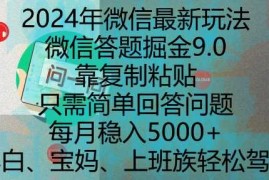 2024最新2024年微信最新玩法，微信答题掘金9.0玩法出炉，靠复制粘贴，只需简单回答问题，每月稳入5k【揭秘】12-08冒泡网