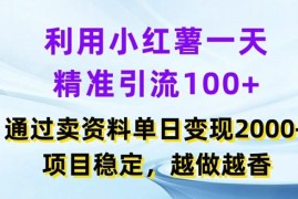 每天利用小红书一天精准引流100+，通过卖项目单日变现2k+，项目稳定，越做越香【揭秘】便宜08月01日冒泡网VIP项目