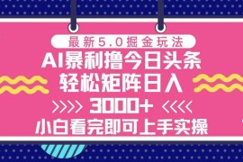 创业项目（13398期）今日头条最新5.0掘金玩法，轻松矩阵日入3000+11-20中创网