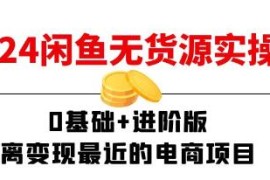 闲鱼无货源实操班，离变现最近的电商项目连抖音号运营