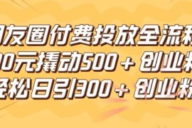 最新项目朋友圈高效付费投放全流程，100元撬动500+创业粉，日引流300加精准创业粉【揭秘】便宜08月11日冒泡网VIP项目