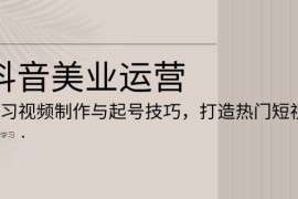 赚钱项目抖音美业运营：学习视频制作与起号技巧，打造热门短视频11-22福缘网