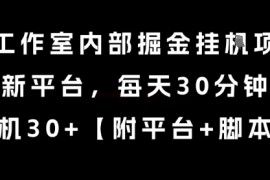 某工作室内部掘金挂G项目，新平台，每天30分钟，单机30+【揭秘】